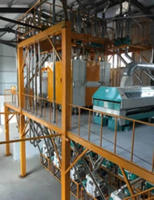 50 tpd automatic wheat flour mill plant
